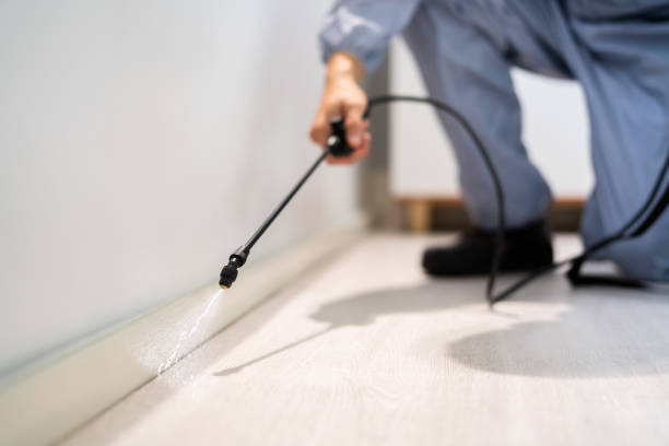 Licensed Pest Control service in Lamesa, TX - Show Me Pest Control